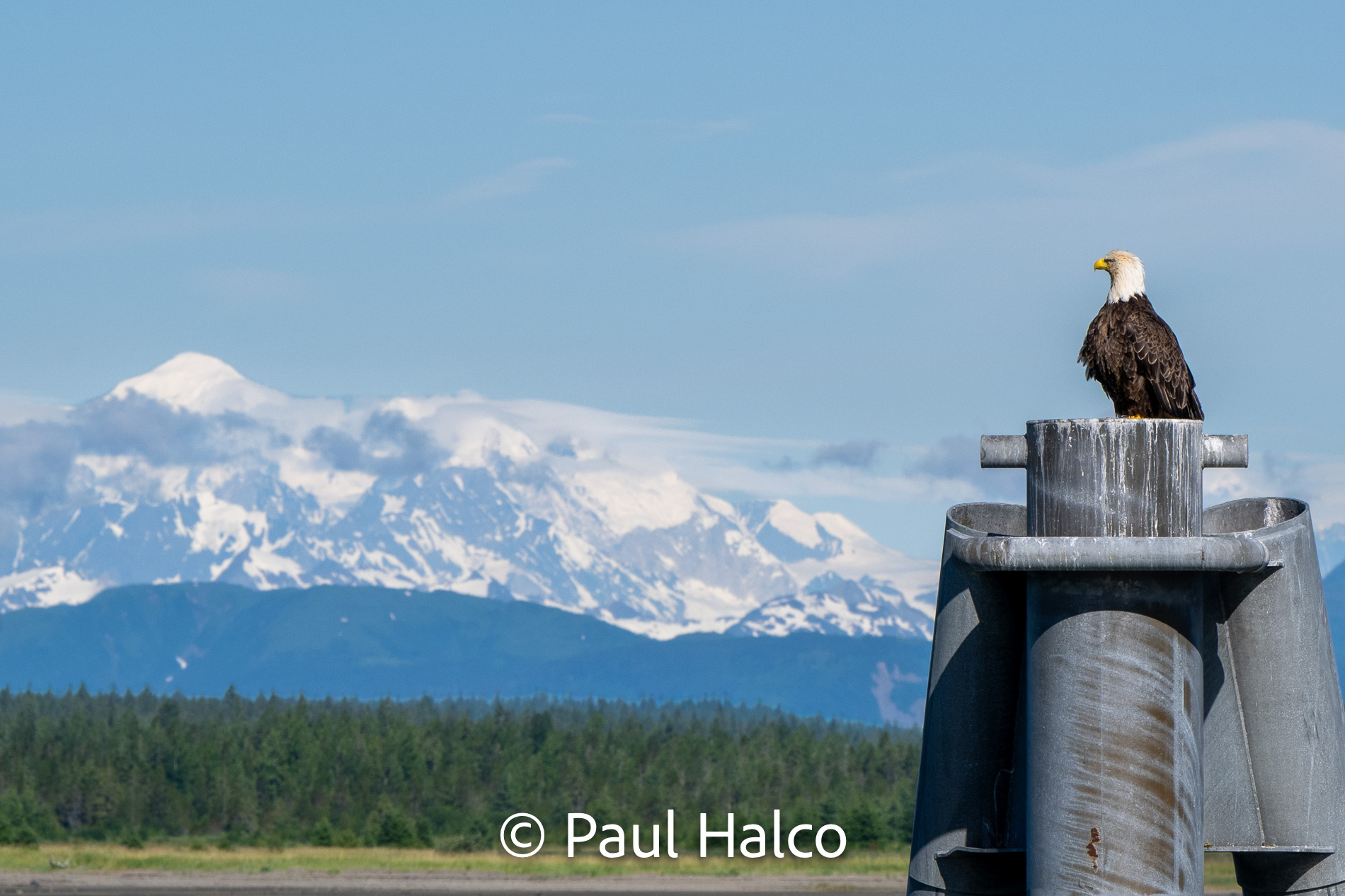 Paul Halco - General Alaska-12